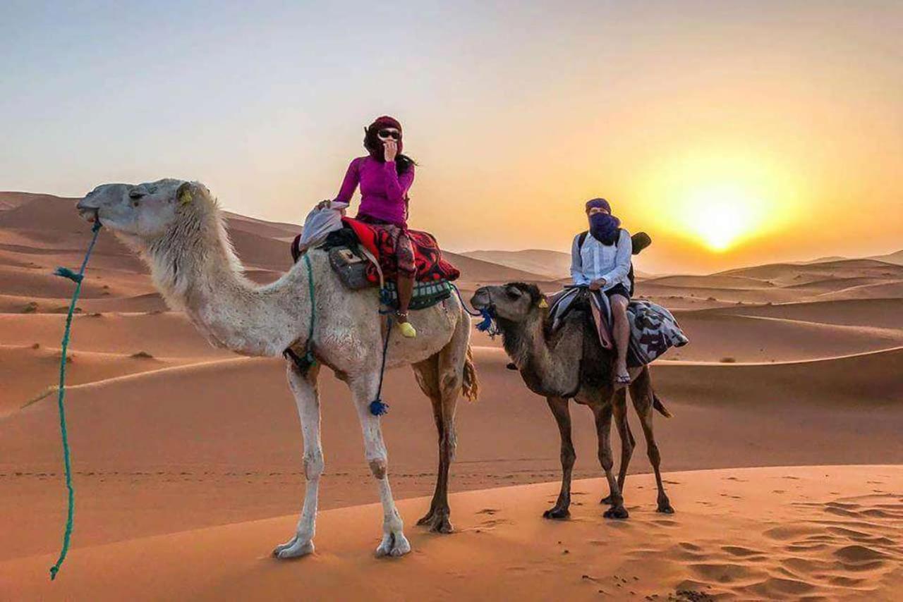 فندق محاميد الغزلانفي  Camp Sahara Dunes المظهر الخارجي الصورة