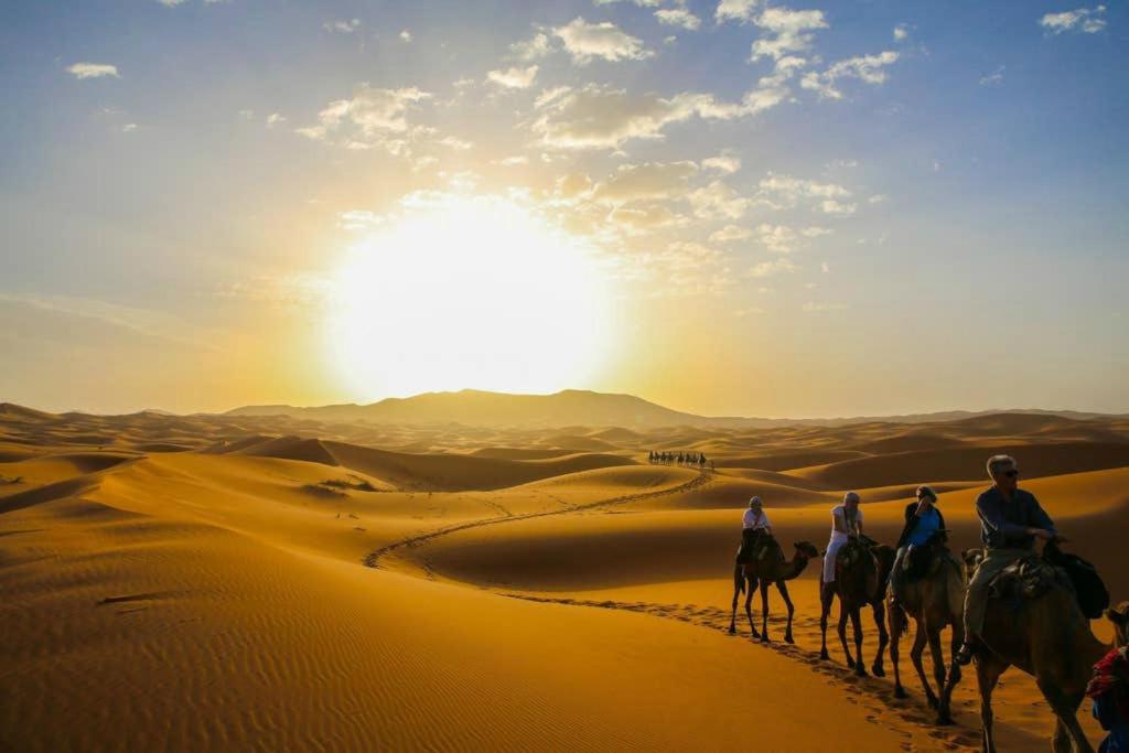 فندق محاميد الغزلانفي  Camp Sahara Dunes المظهر الخارجي الصورة